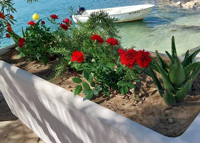 Kuca Za Odmor >maro<